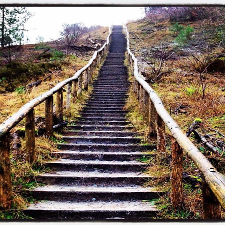 Holidays In Dirkshorn المظهر الخارجي الصورة