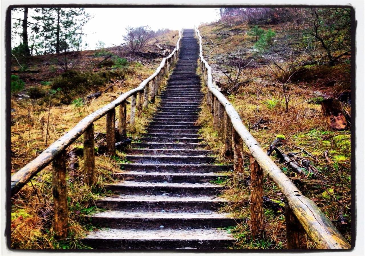 Holidays In Dirkshorn المظهر الخارجي الصورة