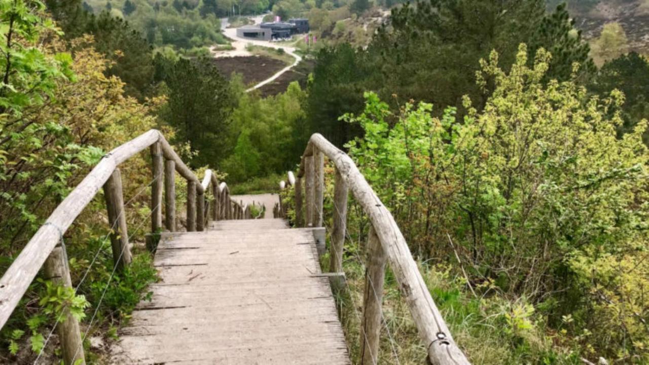 Holidays In Dirkshorn المظهر الخارجي الصورة